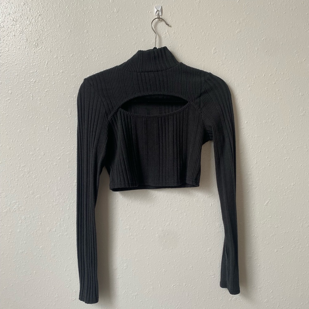 Cropped, cut out turtle neck